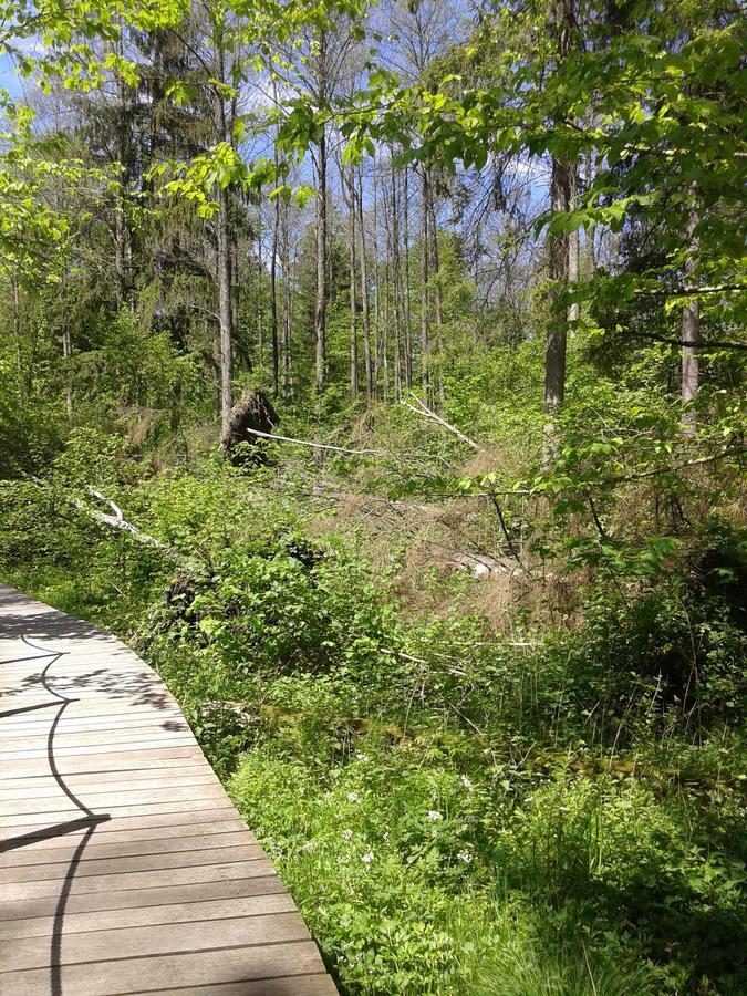 Cztery Pory Roku Guest House Bialowieza Ngoại thất bức ảnh